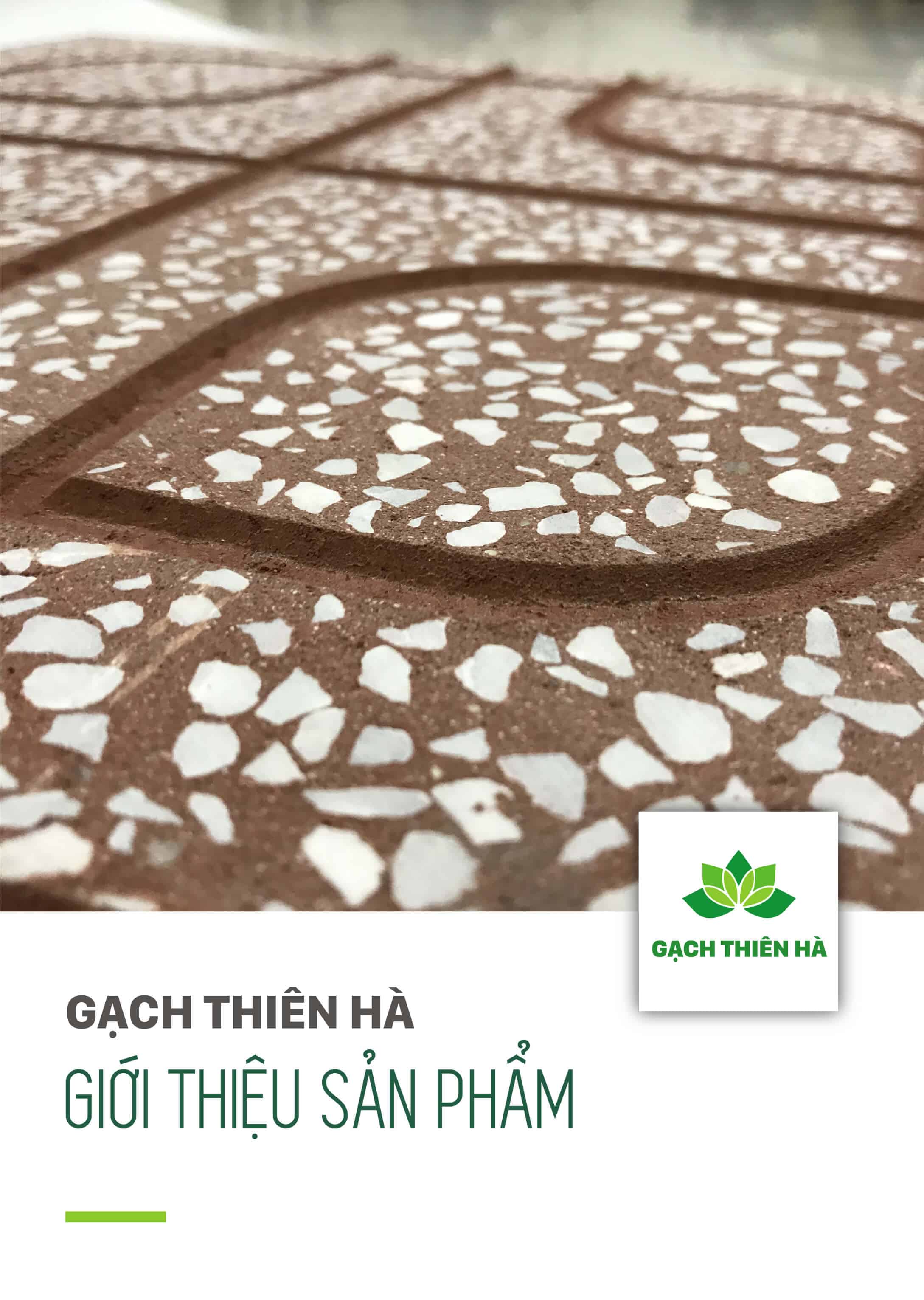 catalogue gach lat via he