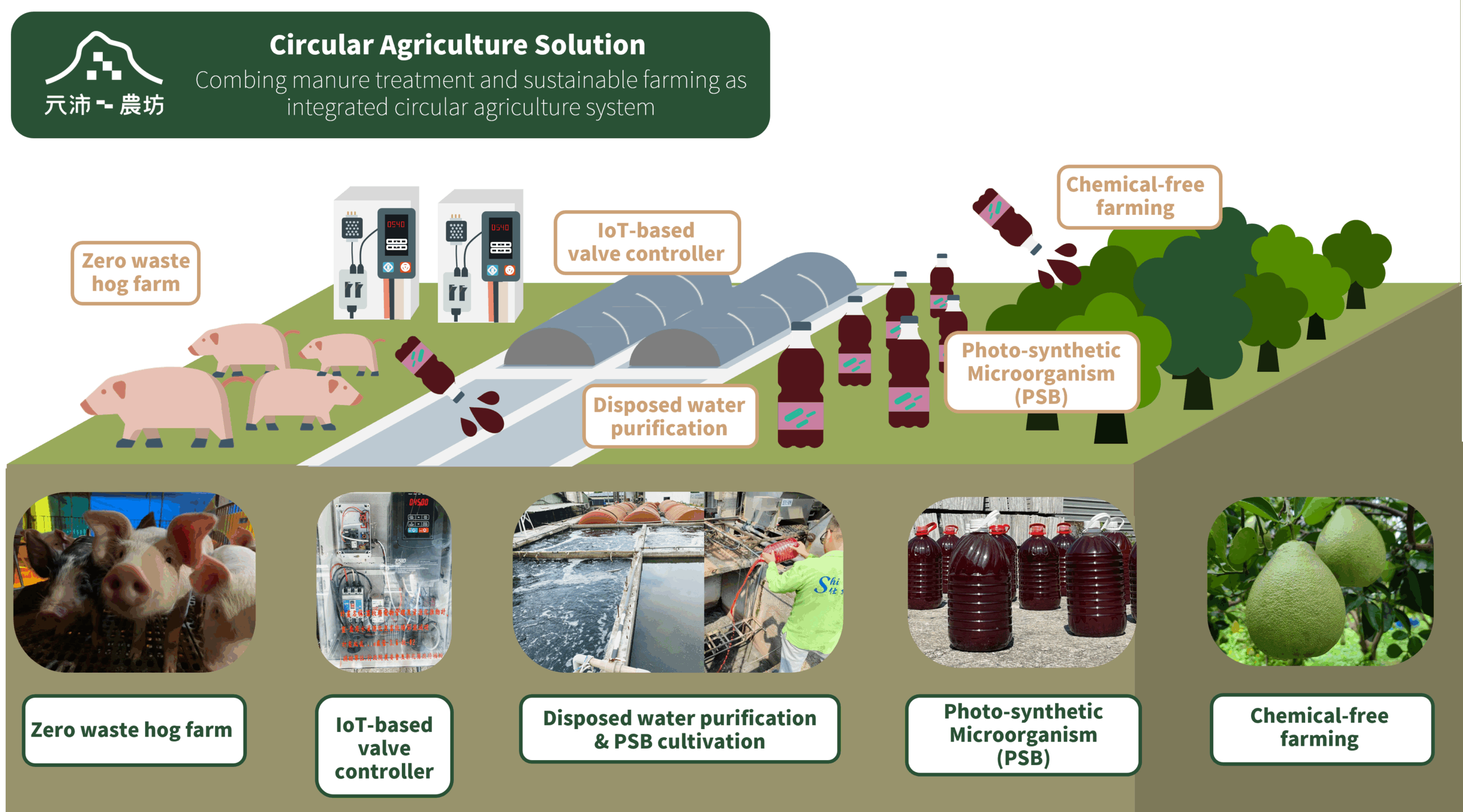 Circular Agriculture