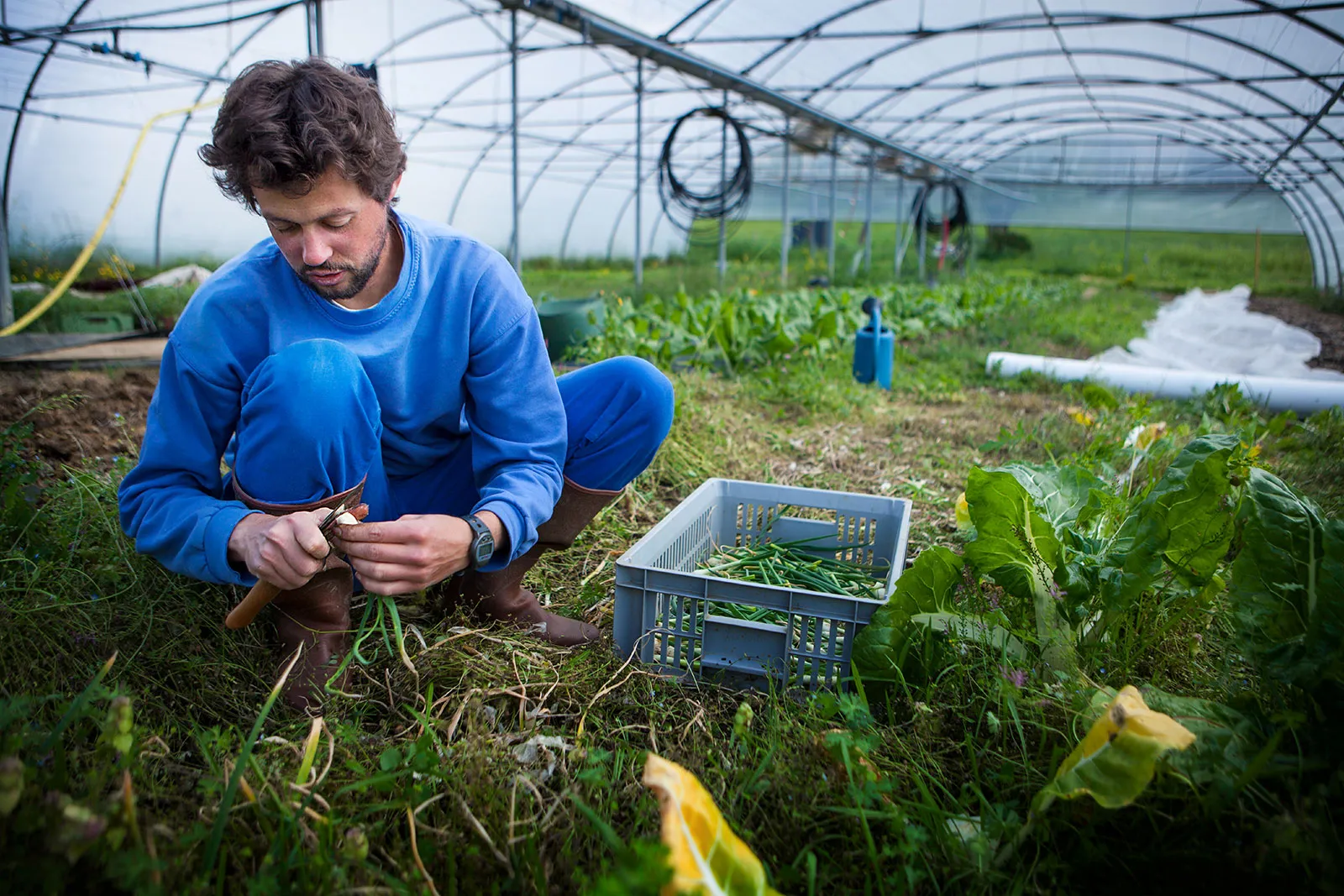 Sustainable Agriculture